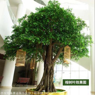 仿真榕樹廠家 批發制作各種仿真榕樹 免費仿真樹設計